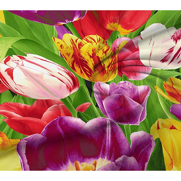 Бязь тейковская с распустившимися разноцветными тюльпанами вблизи.