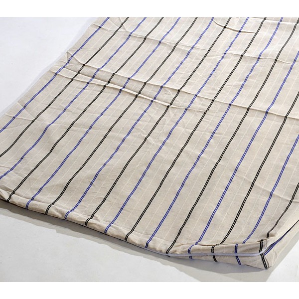 Чехол-матрасный-тик-полосатый--с-боковой-молнией--FSD_6081.jpg