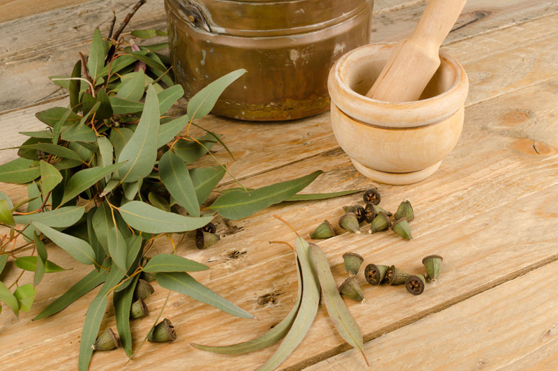 Свежие эвкалиптовые листья на деревянном столе