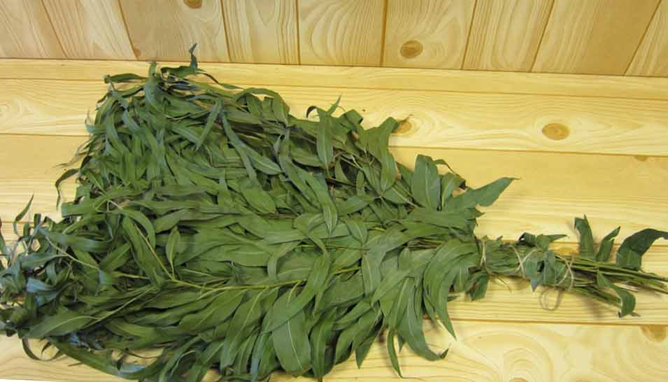 Банный веник зеленого цвета из веток эвкалиптового дерева