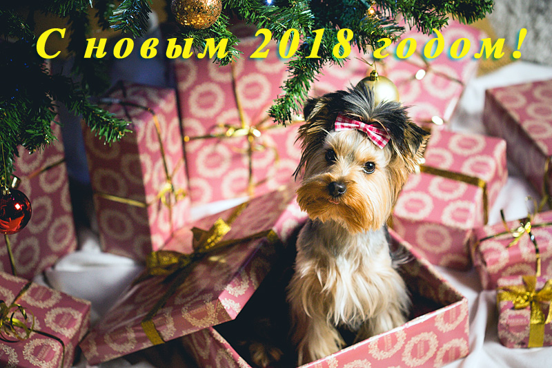 С новым годом поздравляет Валетекс